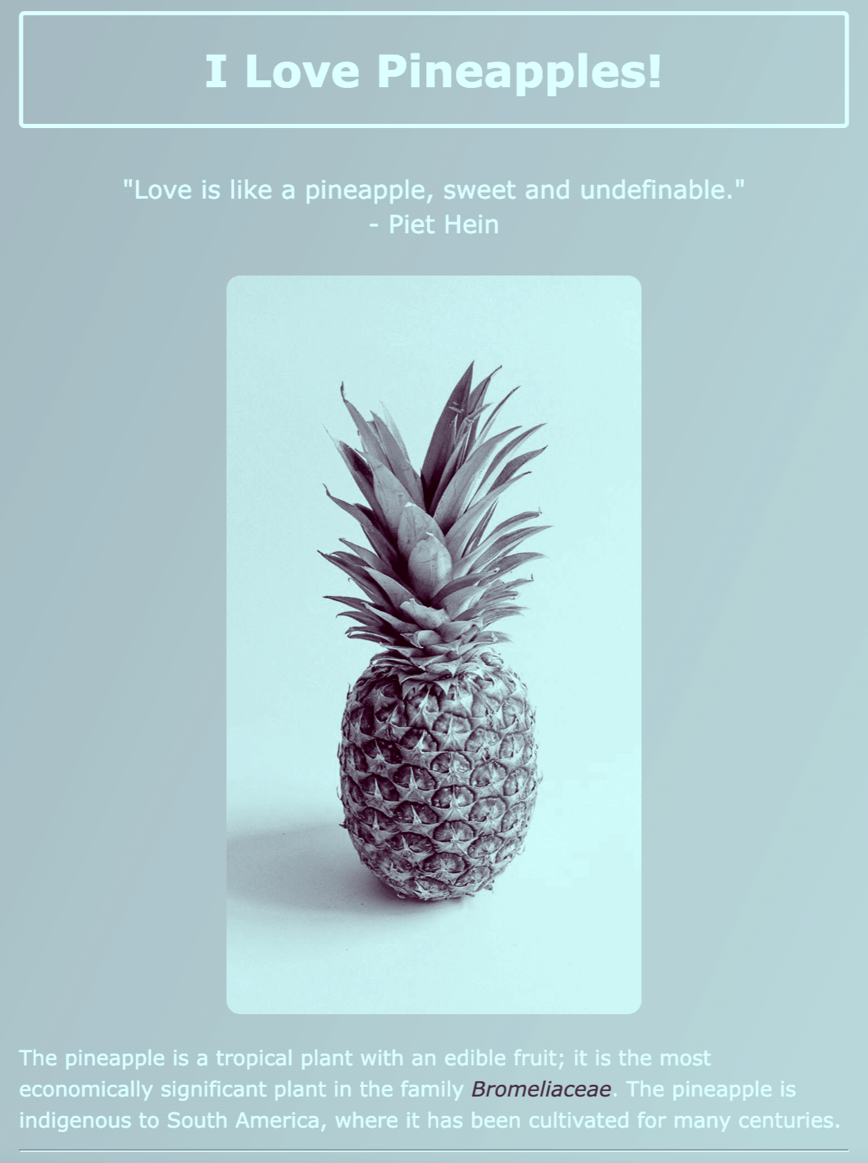 my pineapple site page